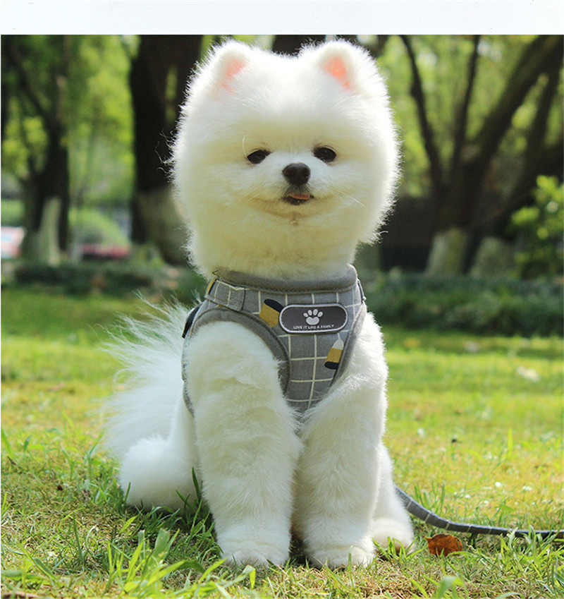 Reflective Stripe Dog Harness and Leash Set Polyester Safe for Walking Solid Pattern All Sizes Gray Pink Summer