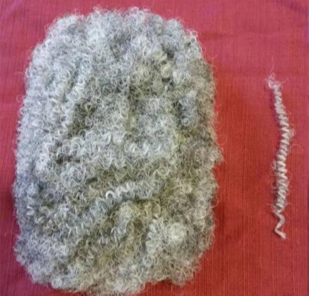Fashion brazilian hair ponytail tight afro kinky curly puff coily curly natural white gray human hair ponytail extension drawstring 12inch