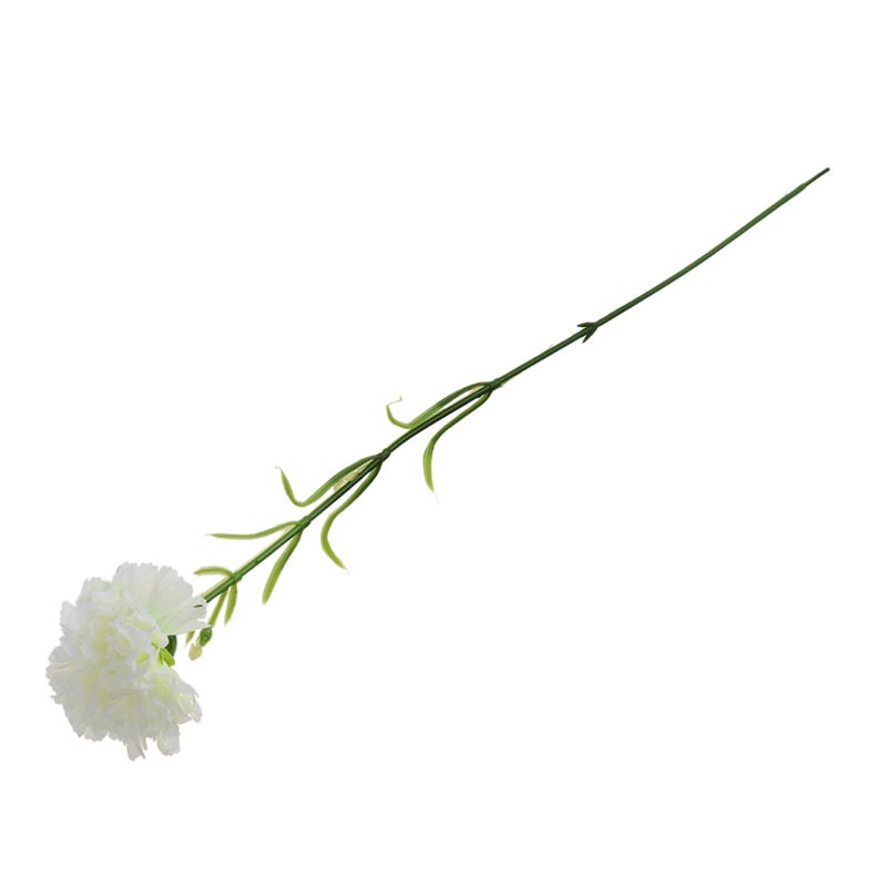 1PC DIY Fresh Artificial Flower Carnation Silk Flower Fake plant for Mother's Day Home Party Decoration 50cm, White
1PC DIY Fresh Artificial Flower Carnation Silk Flower Fake plant for Mother's Day Home Party Decoration 50cm, White