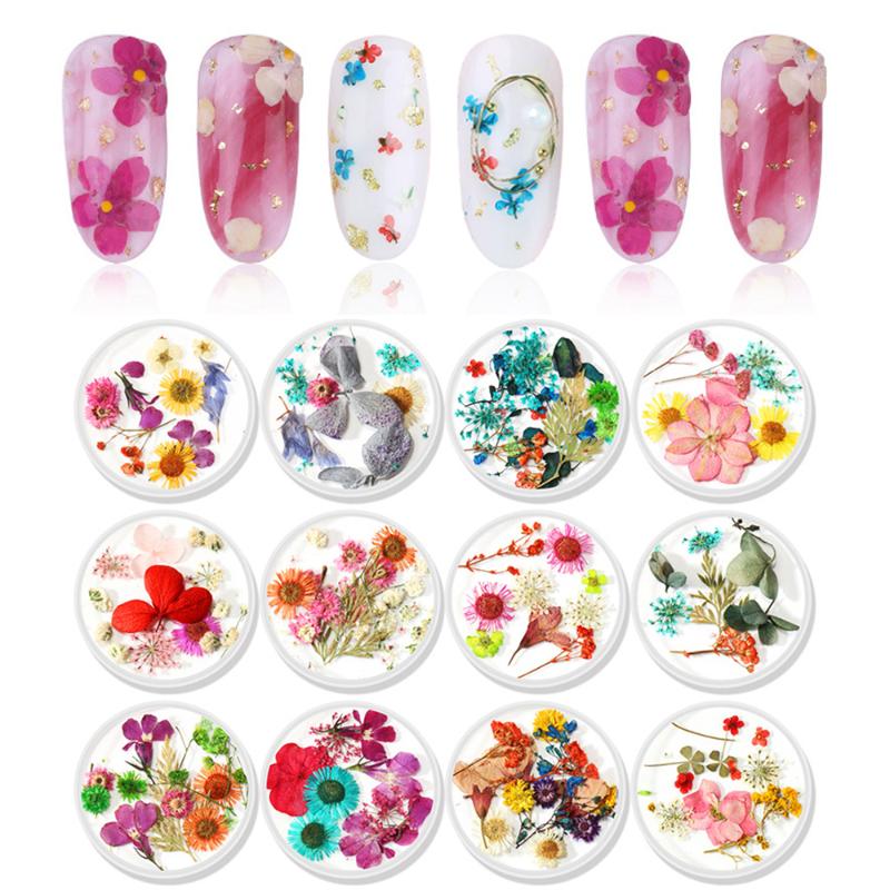 12 Style Mix Dried Flowers Nail Art Decorations Natural Dried Dry Flower Nail Art Decoration Decal Beauty Manicure Tools
12 Style Mix Dried Flowers Nail Art Decorations Natural Dried Dry Flower Nail Art Decoration Decal Beauty Manicure Tools