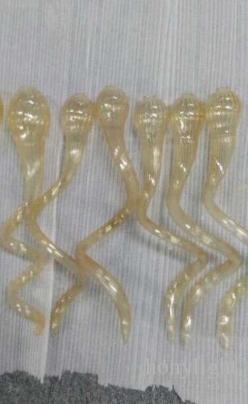 Antique Chandelier Lamps Indoor LED Bulbs Hand Blown Murano Style Glass LED Chandeliers