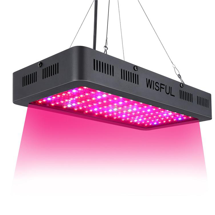 1000W LED Grow Light Full Spectrum for Indoor Plants Seeding/Growing/Flowering with Double Chips LED Growing Bulbs
1000W LED Grow Light Full Spectrum for Indoor Plants Seeding/Growing/Flowering with Double Chips LED Growing Bulbs