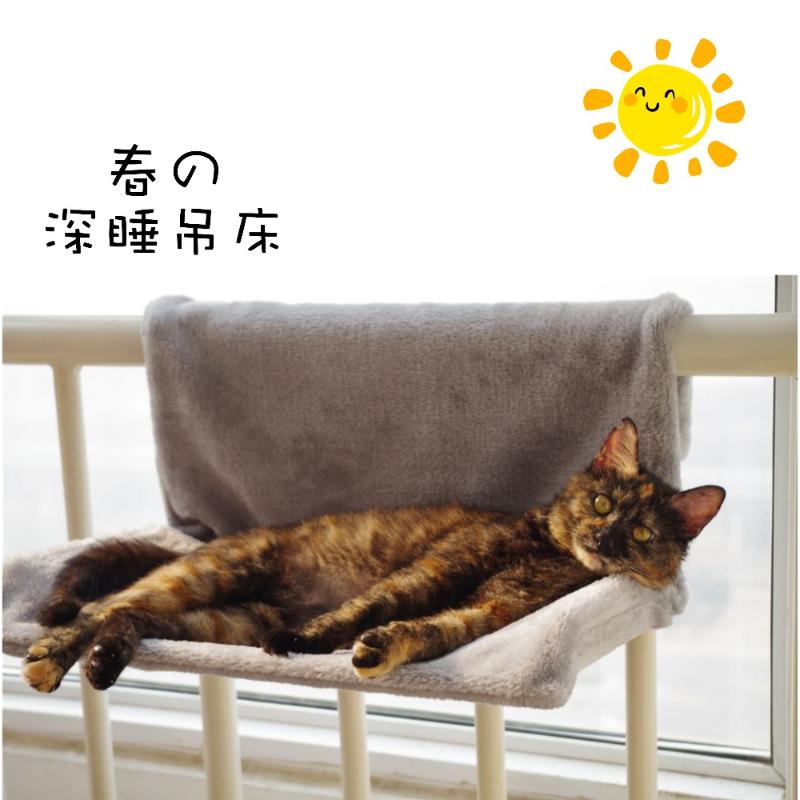 Cat Window Hammock Bed Plush Autumn Winter Little Small Animal Carrier Bed Sunny Seat Pet House Bedding Product Wholesale
Cat Window Hammock Bed Plush Autumn Winter Little Small Animal Carrier Bed Sunny Seat Pet House Bedding Product Wholesale