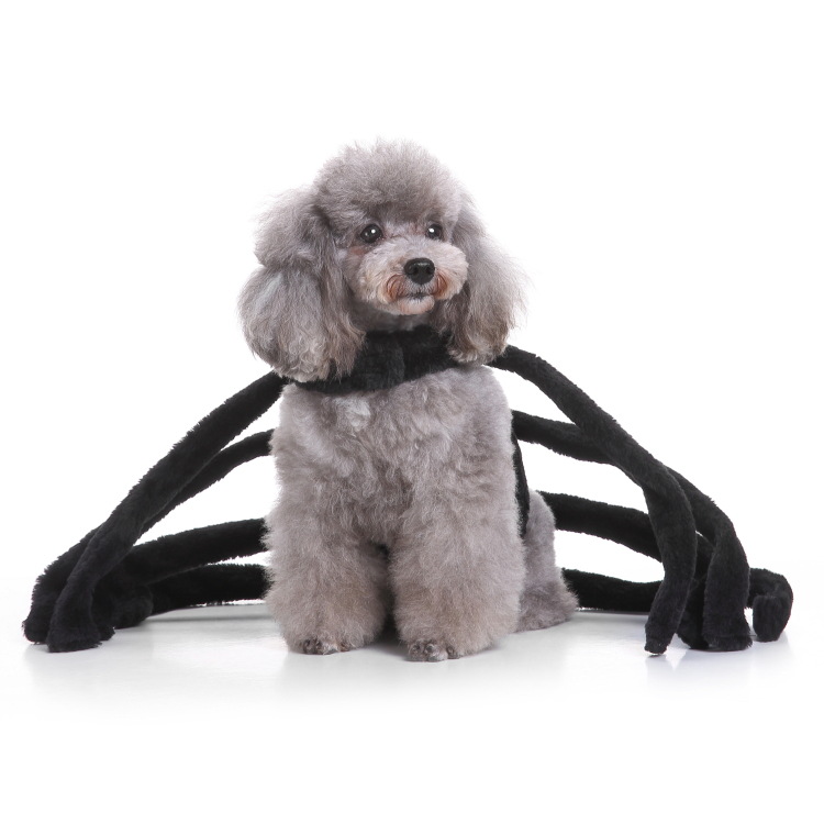 Dropshipping Dog Costume Halloween Costumes for Small Dogs