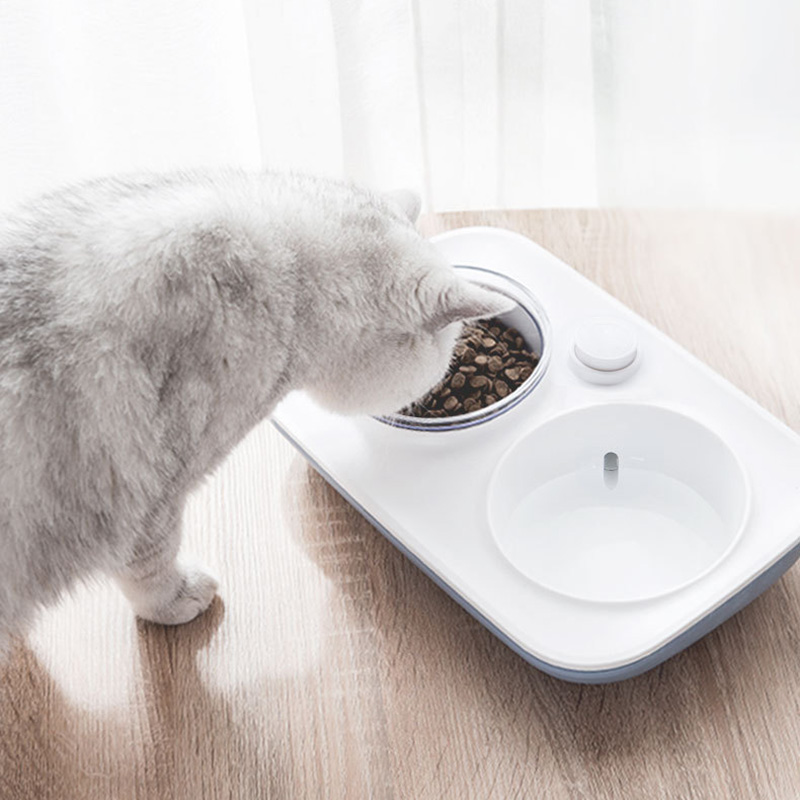 15 Degrees Tilt Angle Dog Bowls Cat Pet Automatic Water Dispenser Dishes Water Feeder For Dogs Cats
15 Degrees Tilt Angle Dog Bowls Cat Pet Automatic Water Dispenser Dishes Water Feeder For Dogs Cats