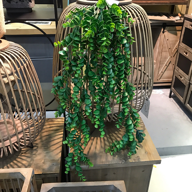 Artificial Eucalyptus Willow Leaves Garland Vine Wedding Greenery Home Decor Outdoor Party Table Wall Hanging Green Leaves, Olive
Artificial Eucalyptus Willow Leaves Garland Vine Wedding Greenery Home Decor Outdoor Party Table Wall Hanging Green Leaves, Olive