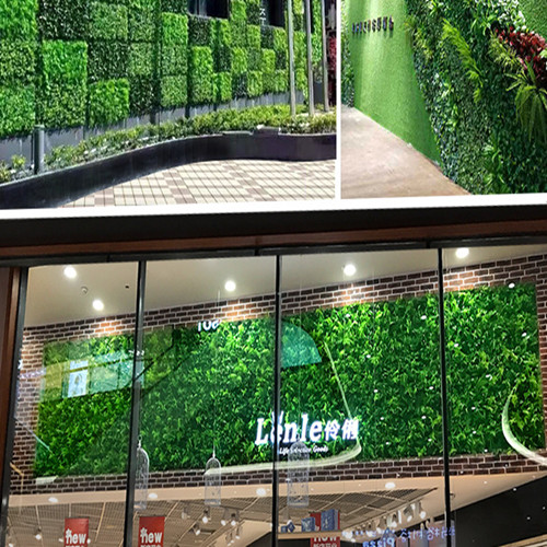 40x60cm Grass Mat Green Artificial Plant Lawns Landscape Carpet for Home Garden Wall Decoration Fake Grass Party Wedding Supply
40x60cm Grass Mat Green Artificial Plant Lawns Landscape Carpet for Home Garden Wall Decoration Fake Grass Party Wedding Supply