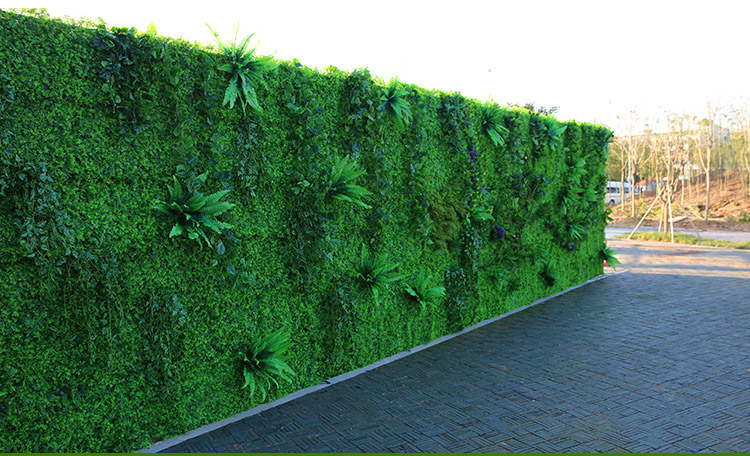 40*60cm Artificial Plant Wall Lawn Milan Eucalyptus Grass Plastic Fake Lawn Green Plant Wall Door Decoration
40*60cm Artificial Plant Wall Lawn Milan Eucalyptus Grass Plastic Fake Lawn Green Plant Wall Door Decoration