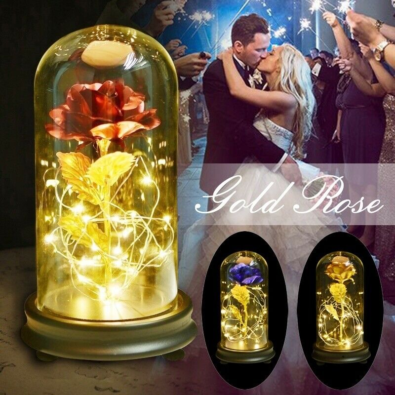 24K Gold Plating Rose Flower Enchanted Forever Rose in Glass Dome LED Light Valentine's Day Girl Gifts Chrismas Valentine's Gift
24K Gold Plating Rose Flower Enchanted Forever Rose in Glass Dome LED Light Valentine's Day Girl Gifts Chrismas Valentine's Gift