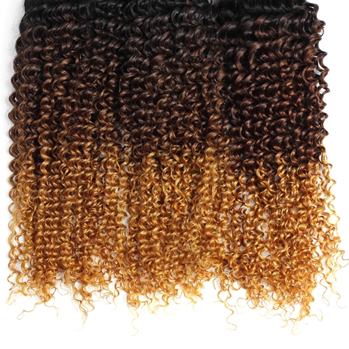 Ombre Human Hair Bundles with Closure Brazilian Hair Kinky Curly 1b/4/30 Human Weave Bundles 3Bundles 3Tone Non Remy Hair Extensions