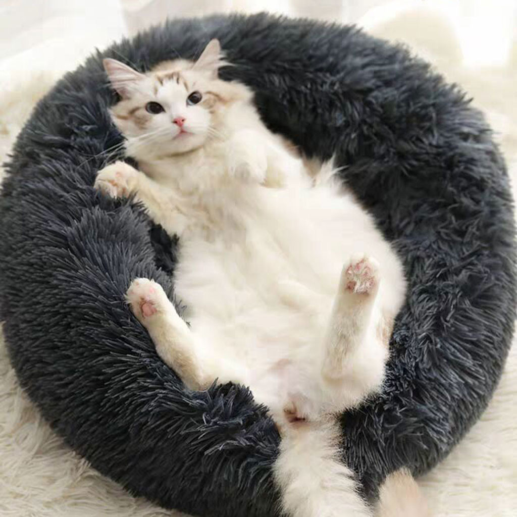 Soft Warm Round Pet Dog Bed Comfy Hondenbed Calming Pet Bed Dog Cushion Mat Cat Washable Plush Kennel Hondenmand Donut, Gray
Soft Warm Round Pet Dog Bed Comfy Hondenbed Calming Pet Bed Dog Cushion Mat Cat Washable Plush Kennel Hondenmand Donut, Gray