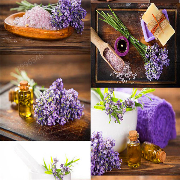 100 Pcs / bag french provence lavender bonsais very fragrant organic lavender bonsais plant flower Flowe Garden Bonsai
100 Pcs / bag french provence lavender bonsais very fragrant organic lavender bonsais plant flower Flowe Garden Bonsai