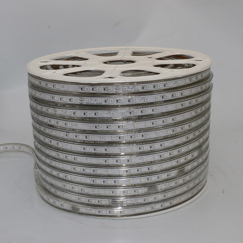 AC110V Led Strips 10M 50M 110V/220V High Voltage SMD 5050 RGB Led Strips Lights Waterproof & IR Remote Control Power Supply