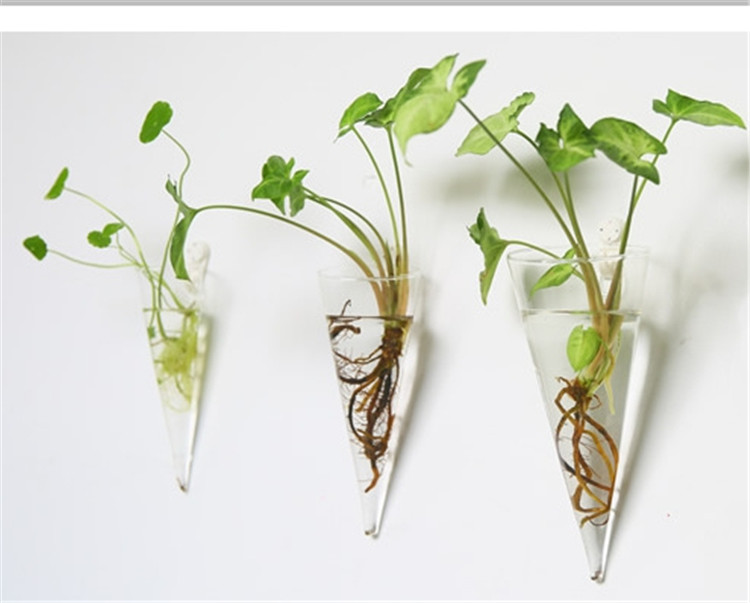 3PCS Cone Shape Glass Wall Vase For Water Plants Wall-Mounted Flower Holders Decorative Home Indoor Wall Hydroponic vases