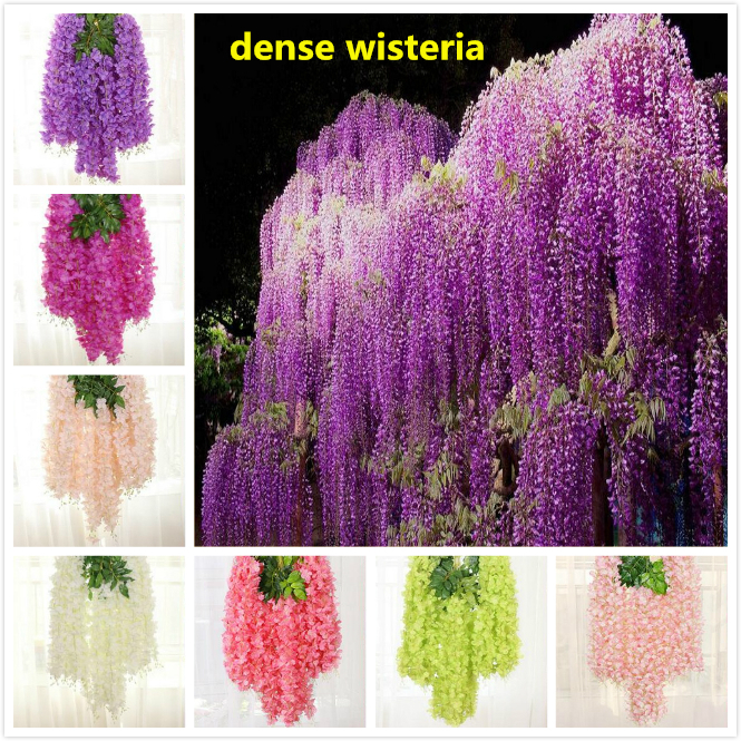 8 colors dense wisteria flower artificial silk flower vine 110cm elegant wisteria vine rattan for garden home wedding decoration, As picture
8 colors dense wisteria flower artificial silk flower vine 110cm elegant wisteria vine rattan for garden home wedding decoration, As picture