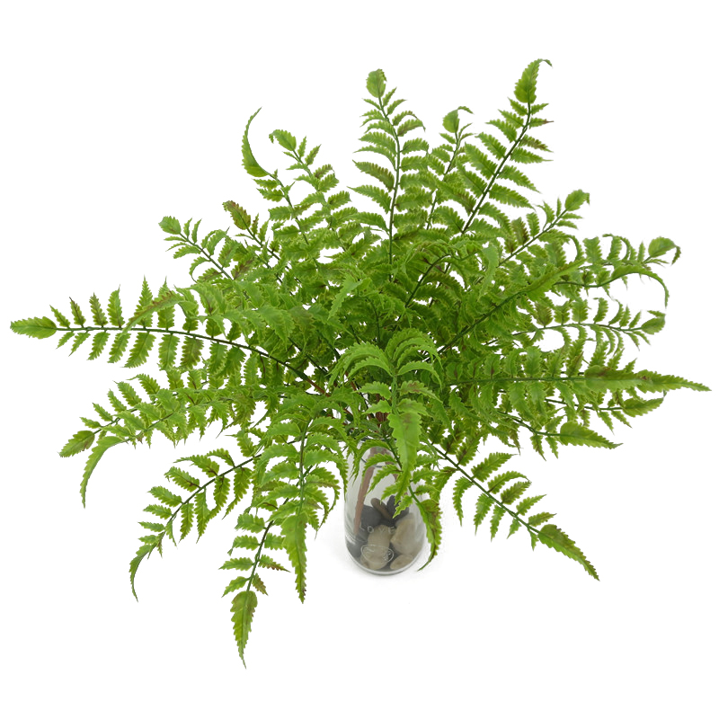 47cm Artificial Plants Simulation Persian Grass Plactic Fake Leaves For Home Garden Decoration Office Desk Ornament, A2
47cm Artificial Plants Simulation Persian Grass Plactic Fake Leaves For Home Garden Decoration Office Desk Ornament, A2