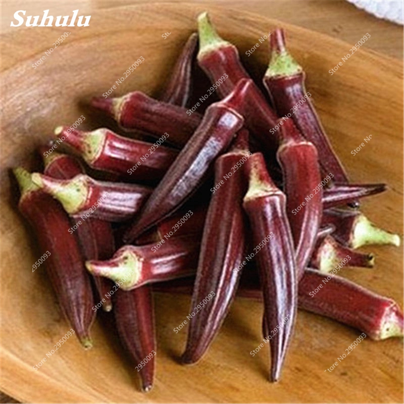 50 pcs / bag Seeds Rare Okra Very Easy Organic Non GMO Green Delicious Vegetable Courtyard Plant for Home Garden Bonsai Decor
50 pcs / bag Seeds Rare Okra Very Easy Organic Non GMO Green Delicious Vegetable Courtyard Plant for Home Garden Bonsai Decor