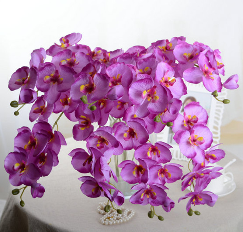 Butterfly Orchid Branch Artificial Silk Flowers for Wedding Home Party Decor Artificial Plant Fake Flowers Silk Phalaenopsis Fake Plant, Length about 70cm
Butterfly Orchid Branch Artificial Silk Flowers for Wedding Home Party Decor Artificial Plant Fake Flowers Silk Phalaenopsis Fake Plant, Length about 70cm