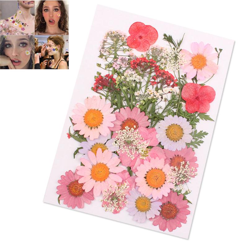 1 Bag Dried Flowers Decor Hot Sale Party DIY Art Floral Decors Flower Mixed Organic Dried Flowers Collection Gift Drop Shipping
1 Bag Dried Flowers Decor Hot Sale Party DIY Art Floral Decors Flower Mixed Organic Dried Flowers Collection Gift Drop Shipping