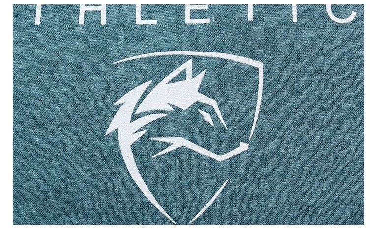 ALPHALETE Men Gyms Hoodies Gyms Fitness Bodybuilding Sweatshirt Pullover Sportswear Male Workout Hooded Jacket Clothing V191028