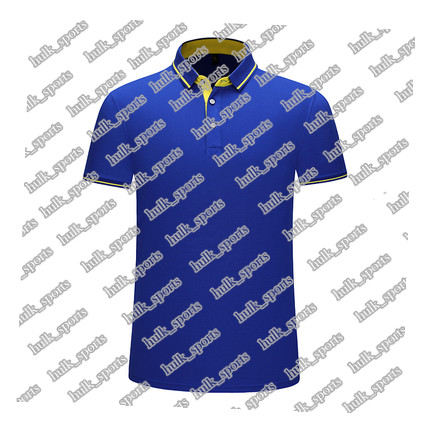2656 Sports polo Ventilation Quick-drying Hot sales Top quality men 201d T9 Short sleeve-shirt comfortable new style jersey116661110, Brown
2656 Sports polo Ventilation Quick-drying Hot sales Top quality men 201d T9 Short sleeve-shirt comfortable new style jersey116661110, Brown