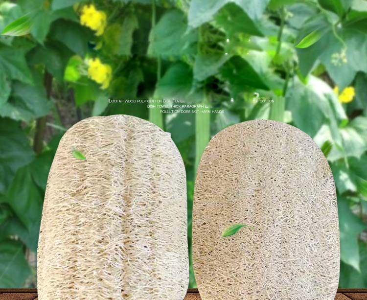 Loofah Dish Cleaning Pad Dish Washing Cleaning Scrubber Sponge Cleaner Scrub Pad Kitchen Tool Nature Bath Brush Cup Clean Brushes