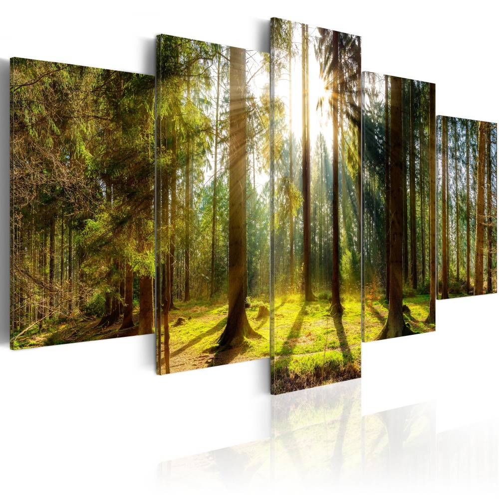 Hd modern Fashion Wall Art Canvas Painting 5 Pieces Green Brown Black Sunlit Forest Landscape Modern Home Decoration, No Frame
