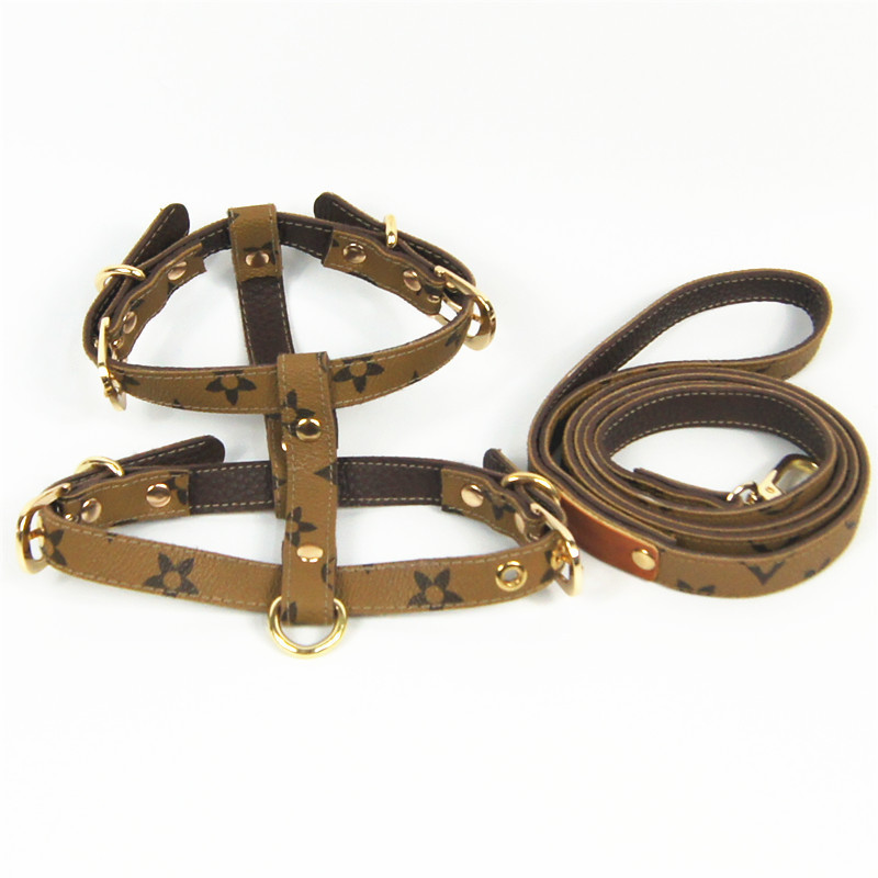 Classic Baroque Dog Leashes Fashion Adjustable Designer Pets Harnesses Indoor Outdoor Casual Bulldog Harness
Classic Baroque Dog Leashes Fashion Adjustable Designer Pets Harnesses Indoor Outdoor Casual Bulldog Harness