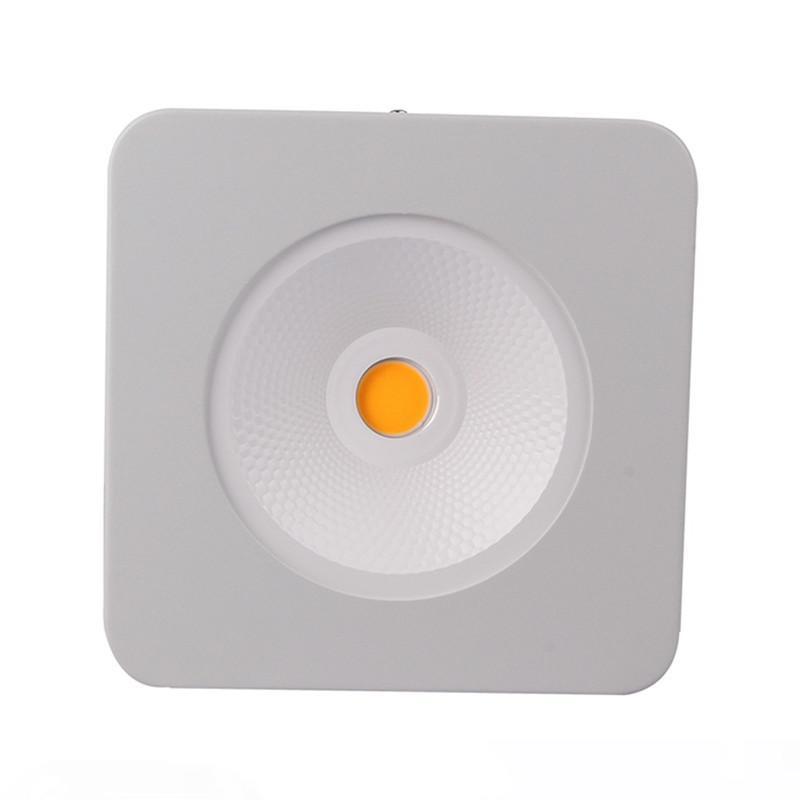 2pcs Full Spectrum CXA3070 200W COB LED Plant Grow Light Indoor Greenhouse Hydroponics Flower Vegetable Medical Growth Lighting Lamp
2pcs Full Spectrum CXA3070 200W COB LED Plant Grow Light Indoor Greenhouse Hydroponics Flower Vegetable Medical Growth Lighting Lamp