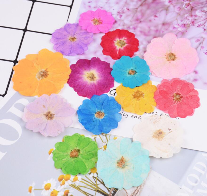 120pcs Pressed Press Dried Rose Chinese Flower Plants For Epoxy Resin Pendant Necklace Jewelry Making Craft DIY Accessories
120pcs Pressed Press Dried Rose Chinese Flower Plants For Epoxy Resin Pendant Necklace Jewelry Making Craft DIY Accessories