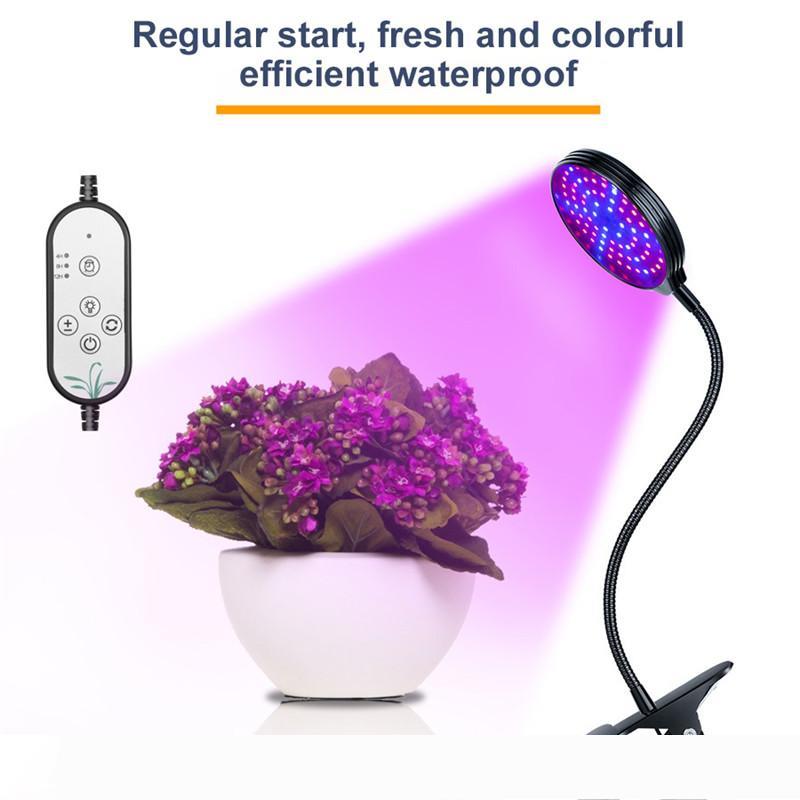 

Promoting plant photosynthesis Plant Lamps 5 Modes 360-degree Rotary Flower Growth Lights LED Plant Growing Lamp MS003