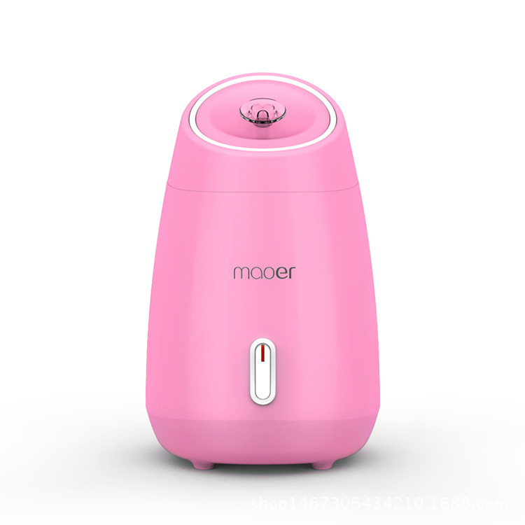 Fruit vegetable Facial Face Steamer household Spa beauty instrument Thermal nano spray water whitening face steamer machine CX200716