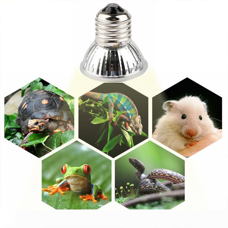 25 50 75W UVA+UVB 3.0 Reptile Lamp Bulb Turtle Basking UV Light Bulbs Heating Lamp Amphibians Lizards Temperature Controller
25 50 75W UVA+UVB 3.0 Reptile Lamp Bulb Turtle Basking UV Light Bulbs Heating Lamp Amphibians Lizards Temperature Controller