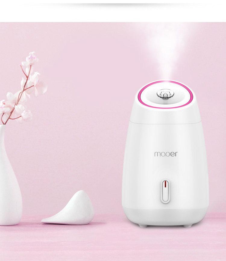 Fruit vegetable Facial Face Steamer household Spa beauty instrument Thermal nano spray water whitening face steamer machine CX200716