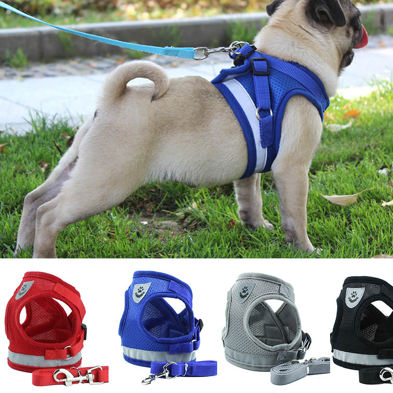 Waistcoat Model Dog Harness Leash Set Breathable Mesh Strap Vest Collar Rope Pet Dog Supplies Dog Collars Leashes dropship
Waistcoat Model Dog Harness Leash Set Breathable Mesh Strap Vest Collar Rope Pet Dog Supplies Dog Collars Leashes dropship