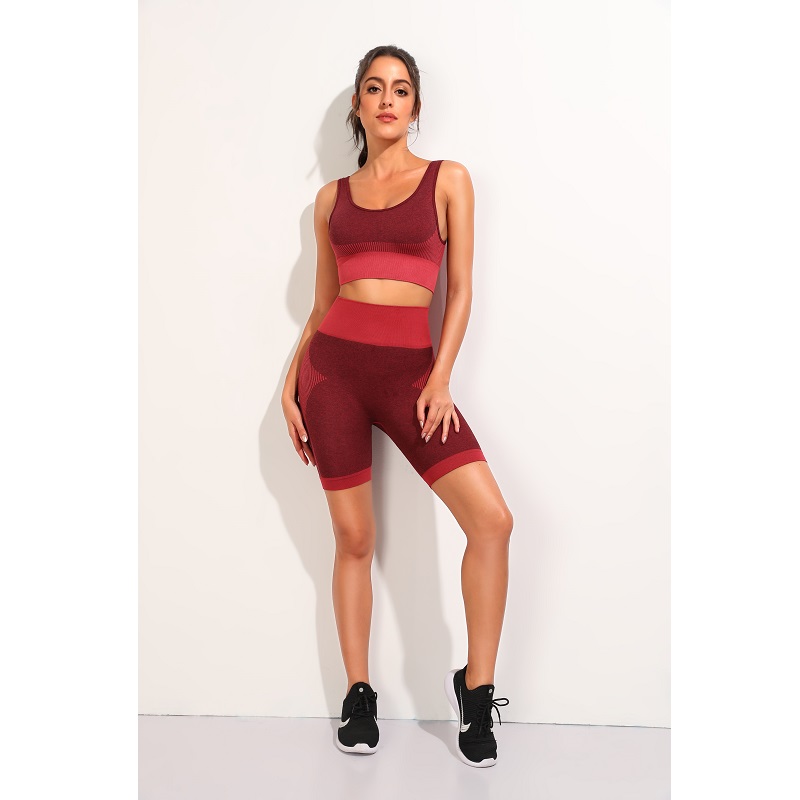 Seamless Fitness Women Yoga Suit High Stretchy Workout Sport Set 2PCS/Set Sports Bra High Waist Sports Shorts Gym, Black
Seamless Fitness Women Yoga Suit High Stretchy Workout Sport Set 2PCS/Set Sports Bra High Waist Sports Shorts Gym, Black
