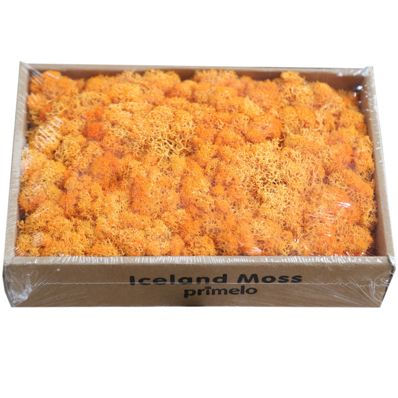 Eternal Dried Moss Grass Artificial Everlasting Moss Garden Home Decor DIY Preserved Flower Material Micro Landscape Accessories, Red
Eternal Dried Moss Grass Artificial Everlasting Moss Garden Home Decor DIY Preserved Flower Material Micro Landscape Accessories, Red