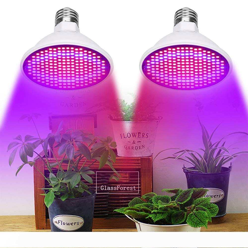 Plant Growth Light SMD 2835 LED Plant Light Greenhouse Bulb AC85-265V E27 E26 Growth Light for Fruits and Vegetables
Plant Growth Light SMD 2835 LED Plant Light Greenhouse Bulb AC85-265V E27 E26 Growth Light for Fruits and Vegetables