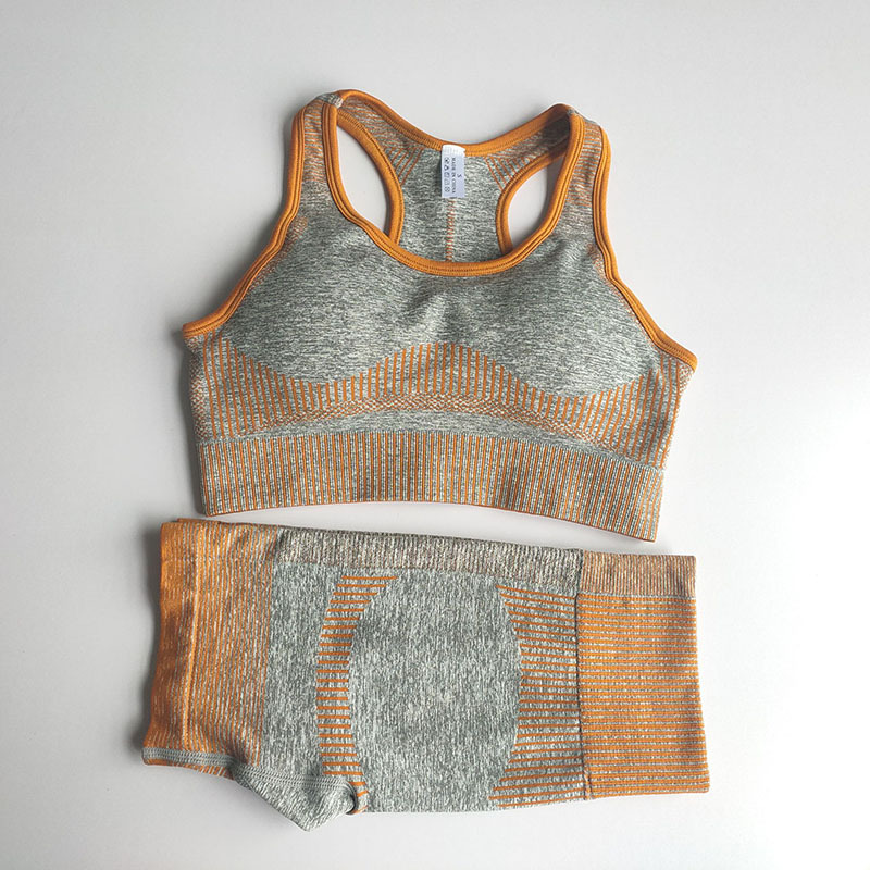 Seamless Yoga Shorts Sports Bra Fitness Suit Gathering Gym Bra Quick-drying Breathable Sports Shorts Women' Yoga Set, Ash
Seamless Yoga Shorts Sports Bra Fitness Suit Gathering Gym Bra Quick-drying Breathable Sports Shorts Women' Yoga Set, Ash