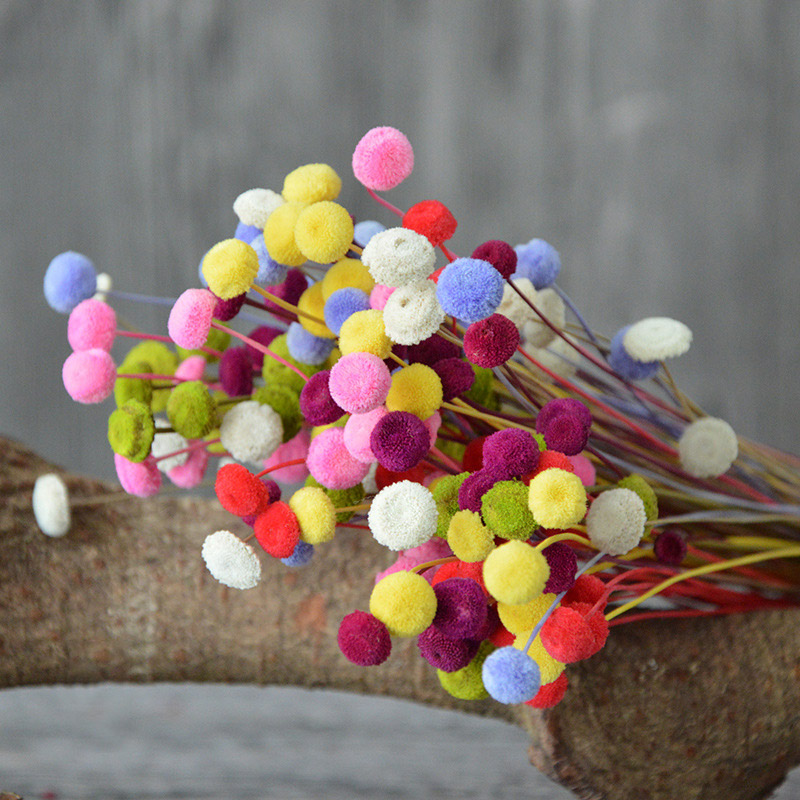 10pcs/lot Natural Button Dried Flower Bouquets Ins Eternal Flowers Accessories For Home Party Wedding Decor Photography Props
10pcs/lot Natural Button Dried Flower Bouquets Ins Eternal Flowers Accessories For Home Party Wedding Decor Photography Props