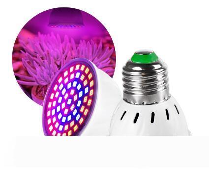 Full Spectrum E27 220V LED Plant Grow Light Bulb Fitolampy Phyto Lamp For Indoor Garden Plants Flower Hydroponics Grow Tent Box
Full Spectrum E27 220V LED Plant Grow Light Bulb Fitolampy Phyto Lamp For Indoor Garden Plants Flower Hydroponics Grow Tent Box