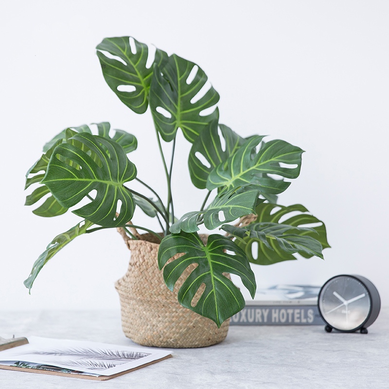 9 simulated ancient monstera palm turtle leaves leave home party decoration Artificial Monstera Imitation plants leaf, Green
9 simulated ancient monstera palm turtle leaves leave home party decoration Artificial Monstera Imitation plants leaf, Green