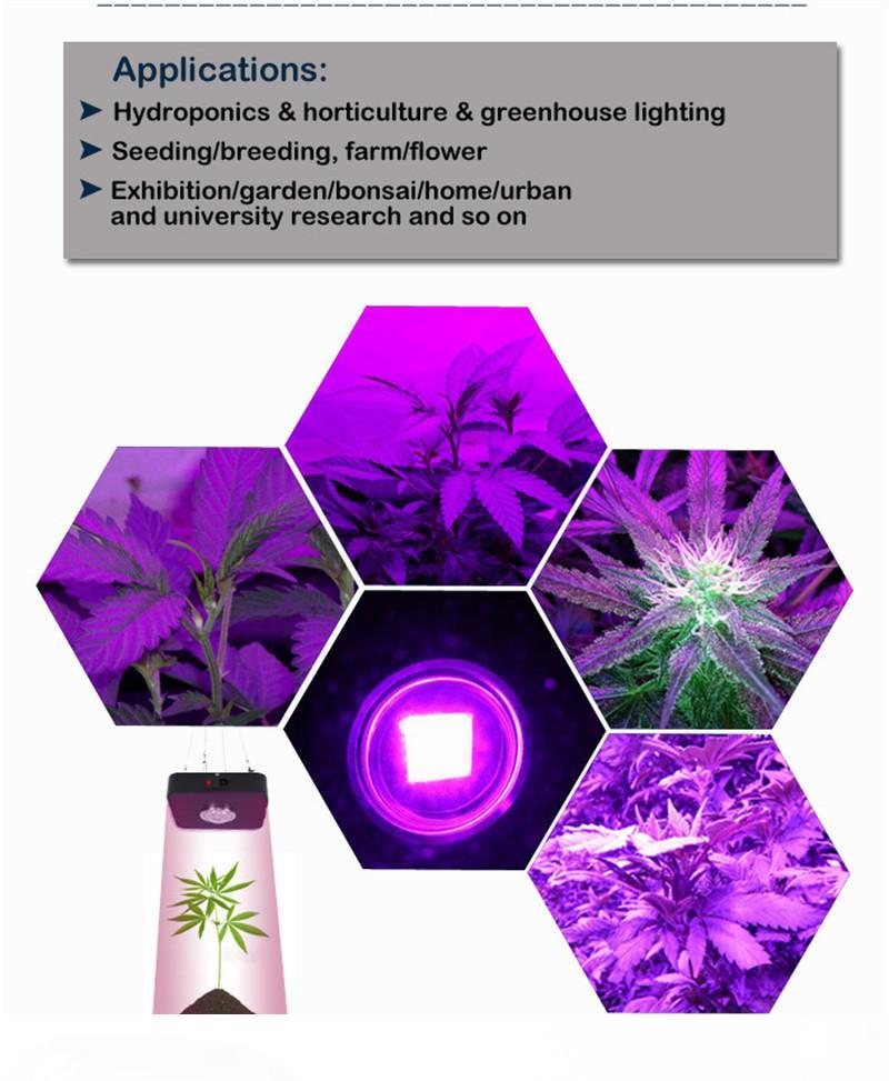 Spider Net Series Full Spectrum 90W COB LED Plant Grow Light Indoor Greenhouse Hydroponics Flower Vegetable Growth Lighting Lamp
Spider Net Series Full Spectrum 90W COB LED Plant Grow Light Indoor Greenhouse Hydroponics Flower Vegetable Growth Lighting Lamp