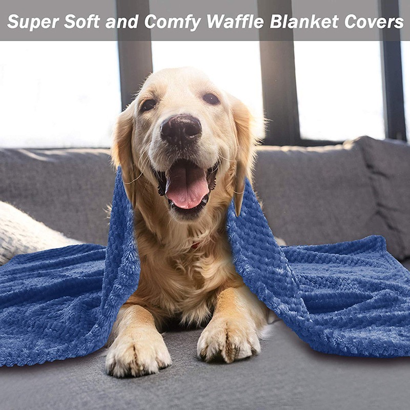 All-season Fluffy Dog Blanket Comfortable Puppy Throw Pet Blanket For Small Medium Large Dogs Cats Mat Machine Washable, Blue
All-season Fluffy Dog Blanket Comfortable Puppy Throw Pet Blanket For Small Medium Large Dogs Cats Mat Machine Washable, Blue