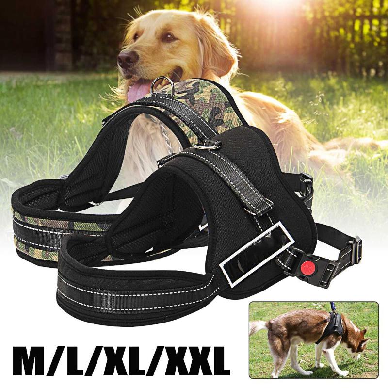 No Pull Dog Harness Adjustable Chest Strip Small medium and large dog harness vest Easy for Walking Training
No Pull Dog Harness Adjustable Chest Strip Small medium and large dog harness vest Easy for Walking Training