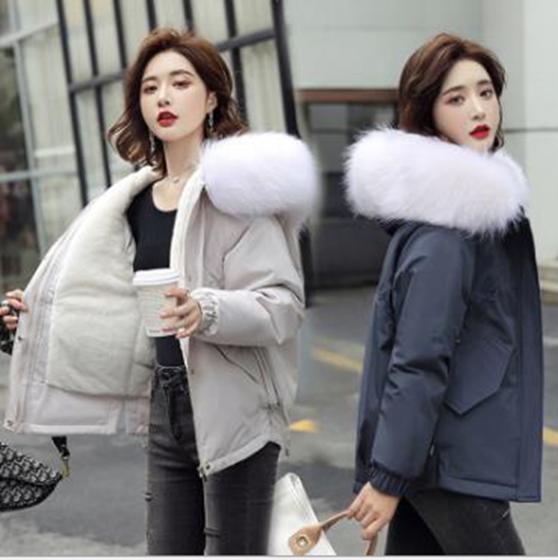 Wholesale fashion women's plus velvet short ins student large fur collar cotton jacket, Blue
Wholesale fashion women's plus velvet short ins student large fur collar cotton jacket, Blue