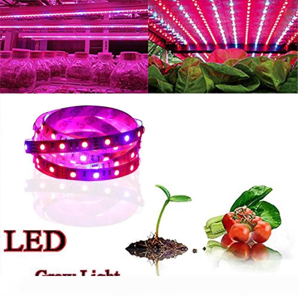 Full Spectrum SMD5050 Led Grow Strip Light NON-waterproof Led Grow Light for Hydroponic Plant Growing Lamp Grow box Red Blue 4:1 
Full Spectrum SMD5050 Led Grow Strip Light NON-waterproof Led Grow Light for Hydroponic Plant Growing Lamp Grow box Red Blue 4:1