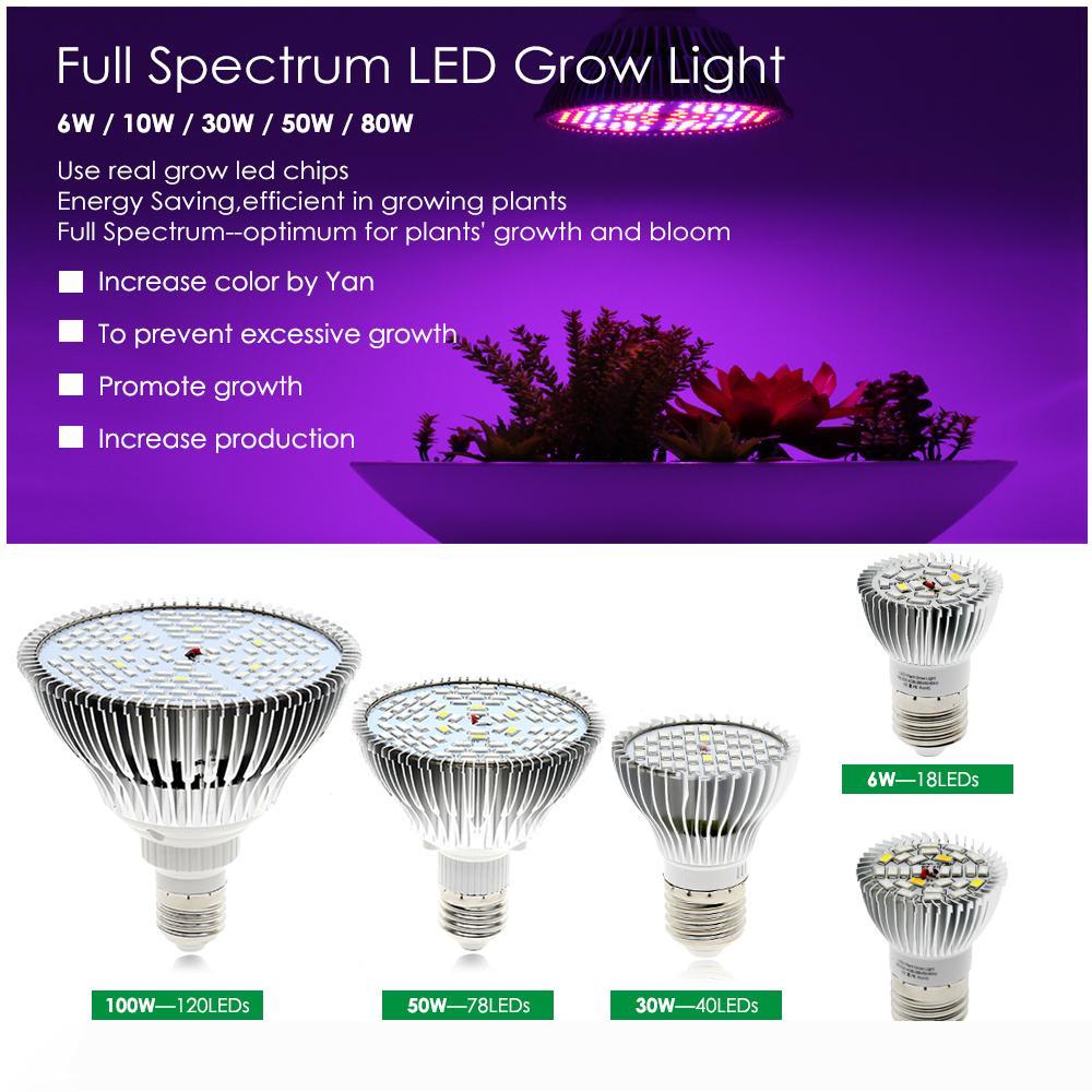 30W 50W 80W LED Growing Bulb Hydroponics Flowers Plants LED Growth Lamp Full Spectrum E27 Grow Light for Indoor LED009
30W 50W 80W LED Growing Bulb Hydroponics Flowers Plants LED Growth Lamp Full Spectrum E27 Grow Light for Indoor LED009
