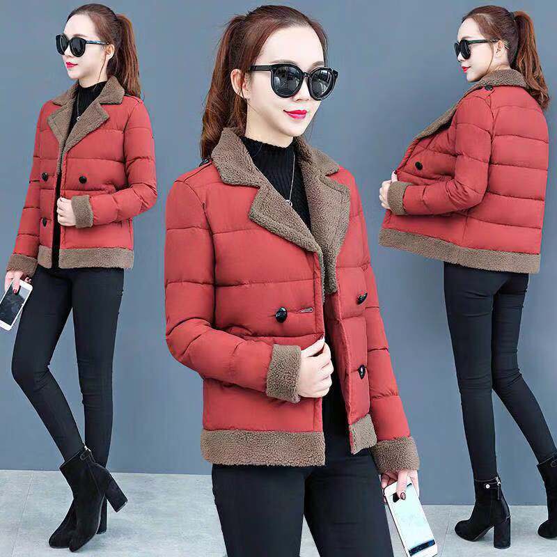 2020 Winter New Middle Aged Women Down Jacket Fashion Coats Female Outwear Warm Thick Elegant Mother Basic korean Parkas W383
2020 Winter New Middle Aged Women Down Jacket Fashion Coats Female Outwear Warm Thick Elegant Mother Basic korean Parkas W383