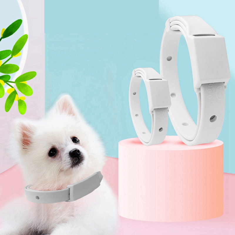 Anti Flea Ticks Mosquitoes Pet Dog Cat Collar Outdoor Adjustable Pet Collar Cat Waterproof Accessories Long-term Protection
Anti Flea Ticks Mosquitoes Pet Dog Cat Collar Outdoor Adjustable Pet Collar Cat Waterproof Accessories Long-term Protection